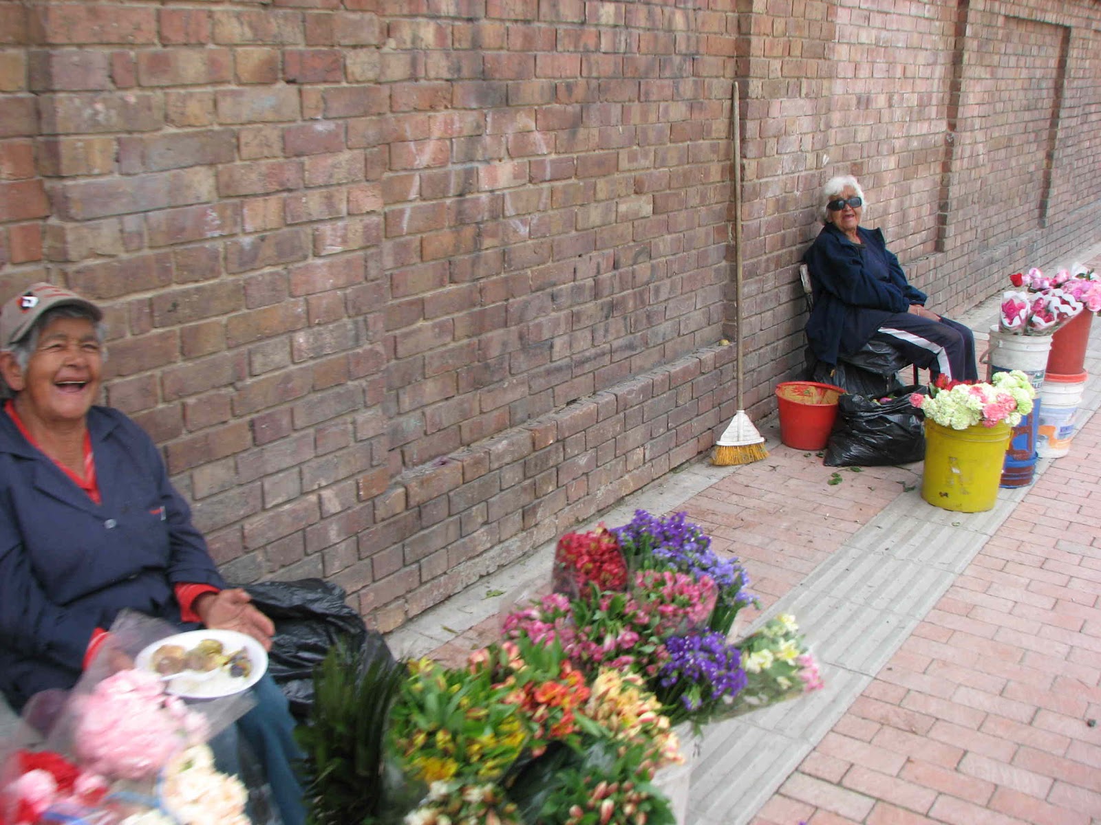 Mike's Bogota Blog A Fascination With Flowers