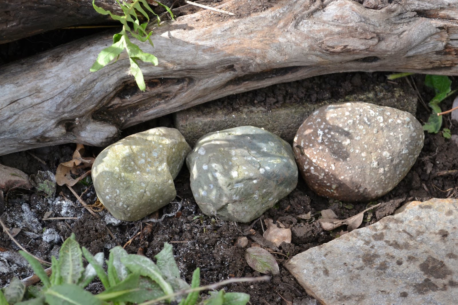 Greenridge Chronicles: Stumperies