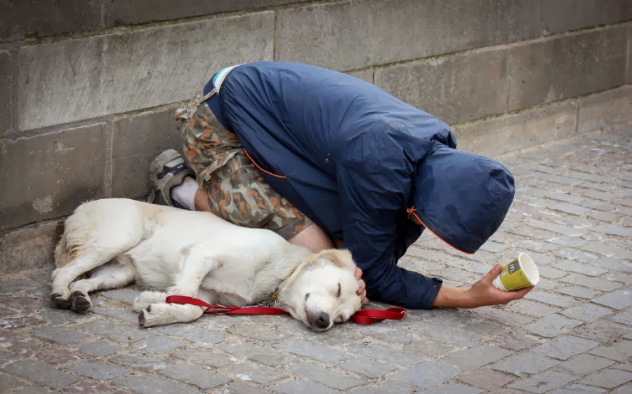 Heartwarming Photographs of Homeless People with Their Dogs
