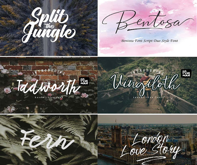 Photography Signature Fonts