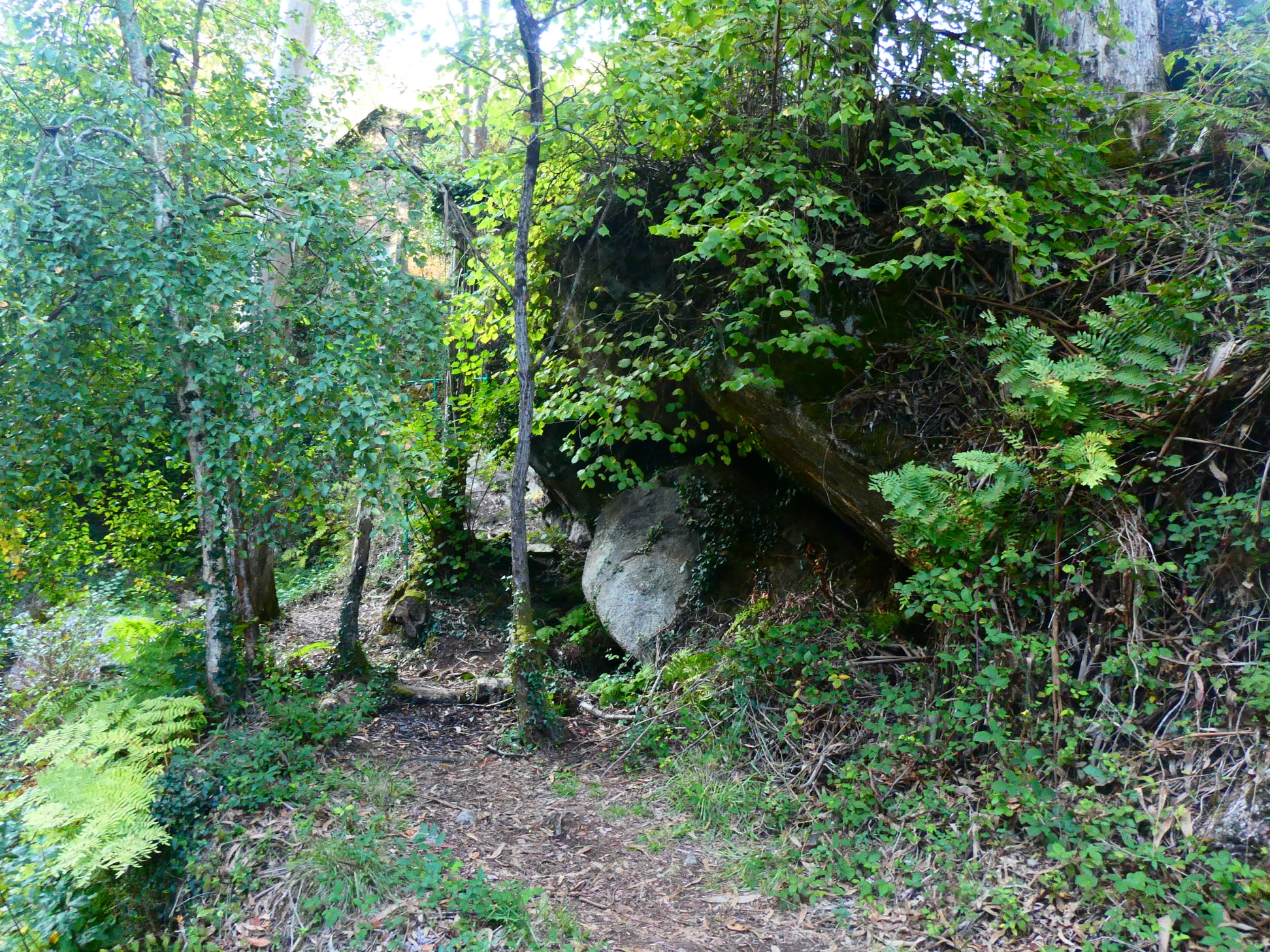 Xurde Morán A FERVENZA DE VILOALLE