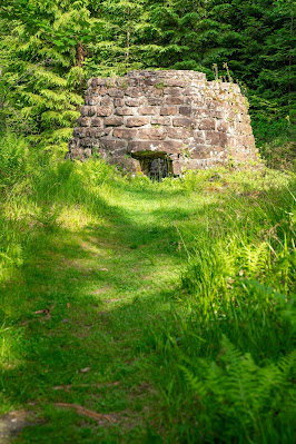 Premiumwanderweg Murgleiter | Etappe 4 von Schönmünzach nach Baiersbronn | Wandern nördlicher Schwarzwald 16