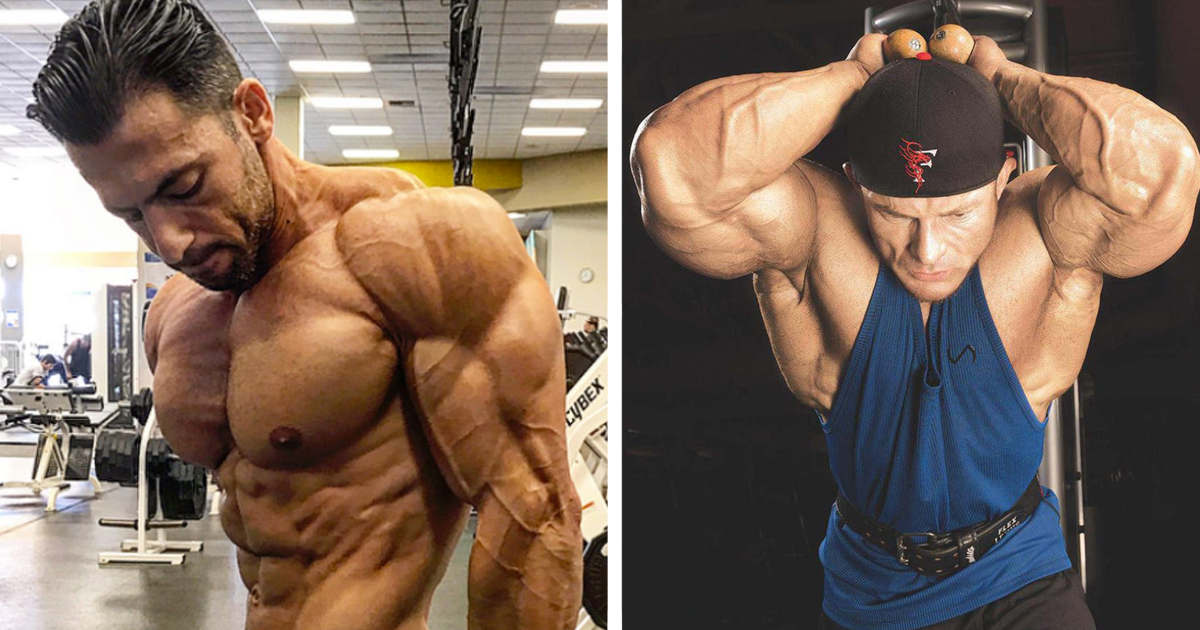 6 Tips to Build Your Triceps - SHREDDEDFIT