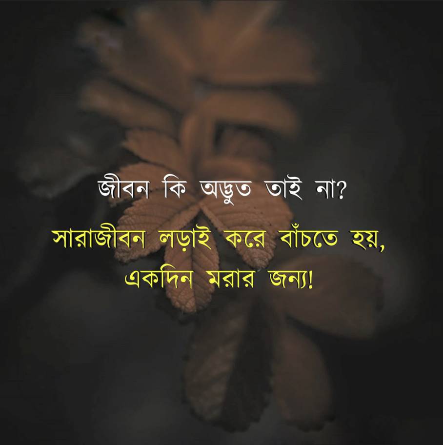 লেখা পিকচার ডাউনলোড 1