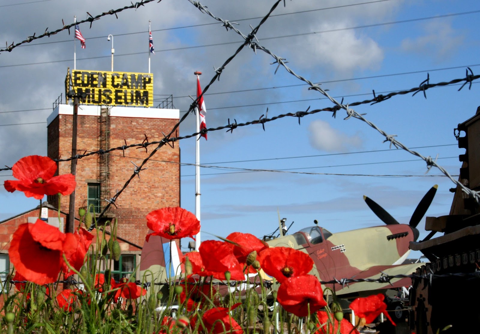 Oh, Cut It Out! Eden Camp