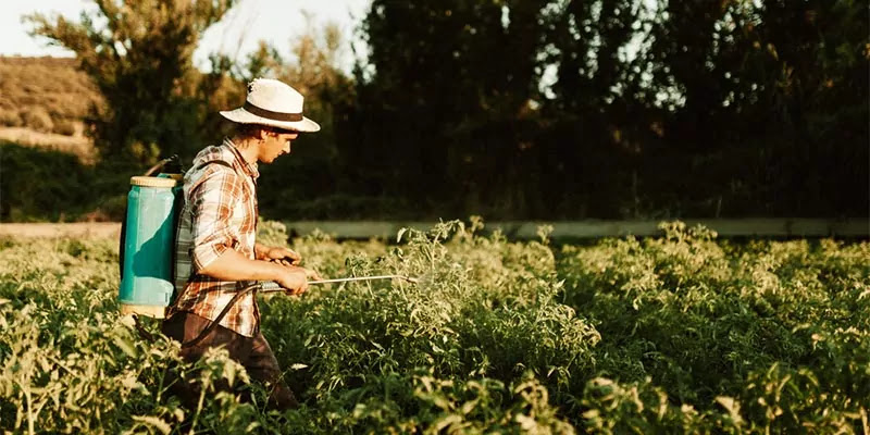 How to Choose the Best Tank Sprayer