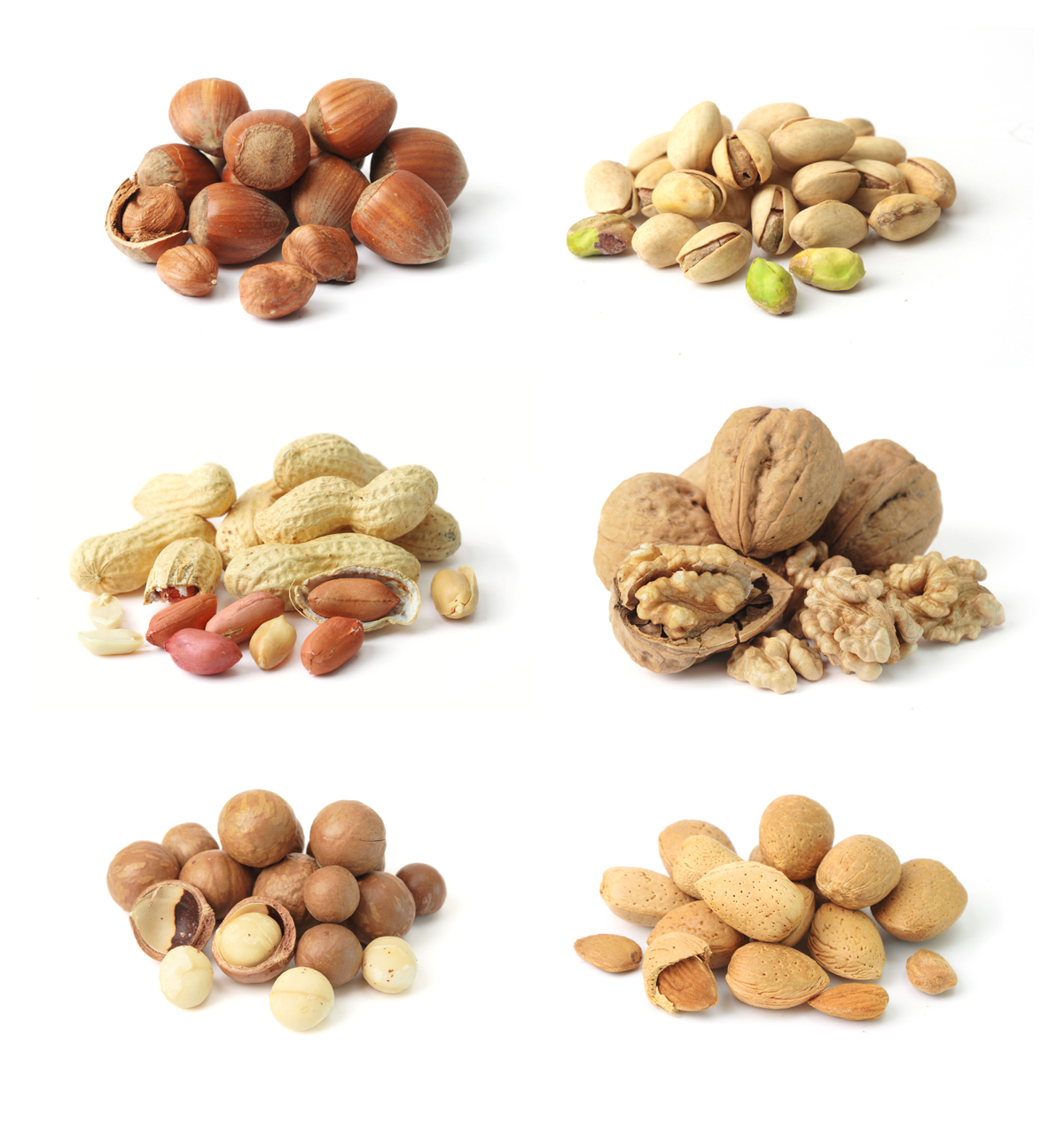 clipart pictures of nuts - photo #34