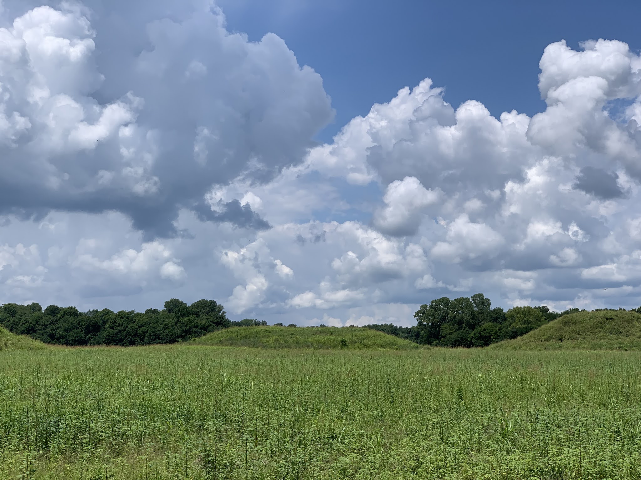 Weekend Wanderluster Kincaid Mounds (Massac County, Illinois)