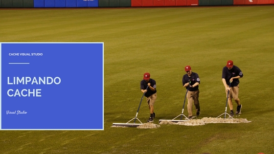 Limpar cache do Visual Studio - Alessandro Gonzalez