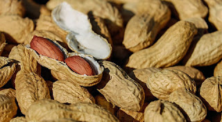 فوائد الفول السوداني الصحية ستحبون تناوله باستمرار! فوائد الفول السوداني الصحية ستحبون تناوله باستمرار!