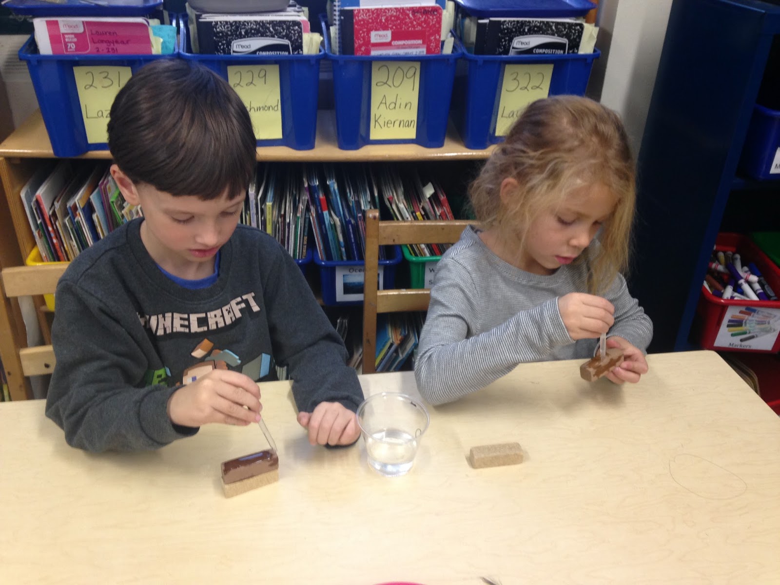 What's Happening in Lower Science? What Happens to Wood When it Gets Wet?