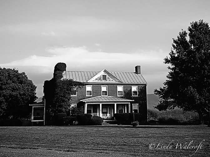 The View from Squirrel Ridge The Home at Buena Vista Farms