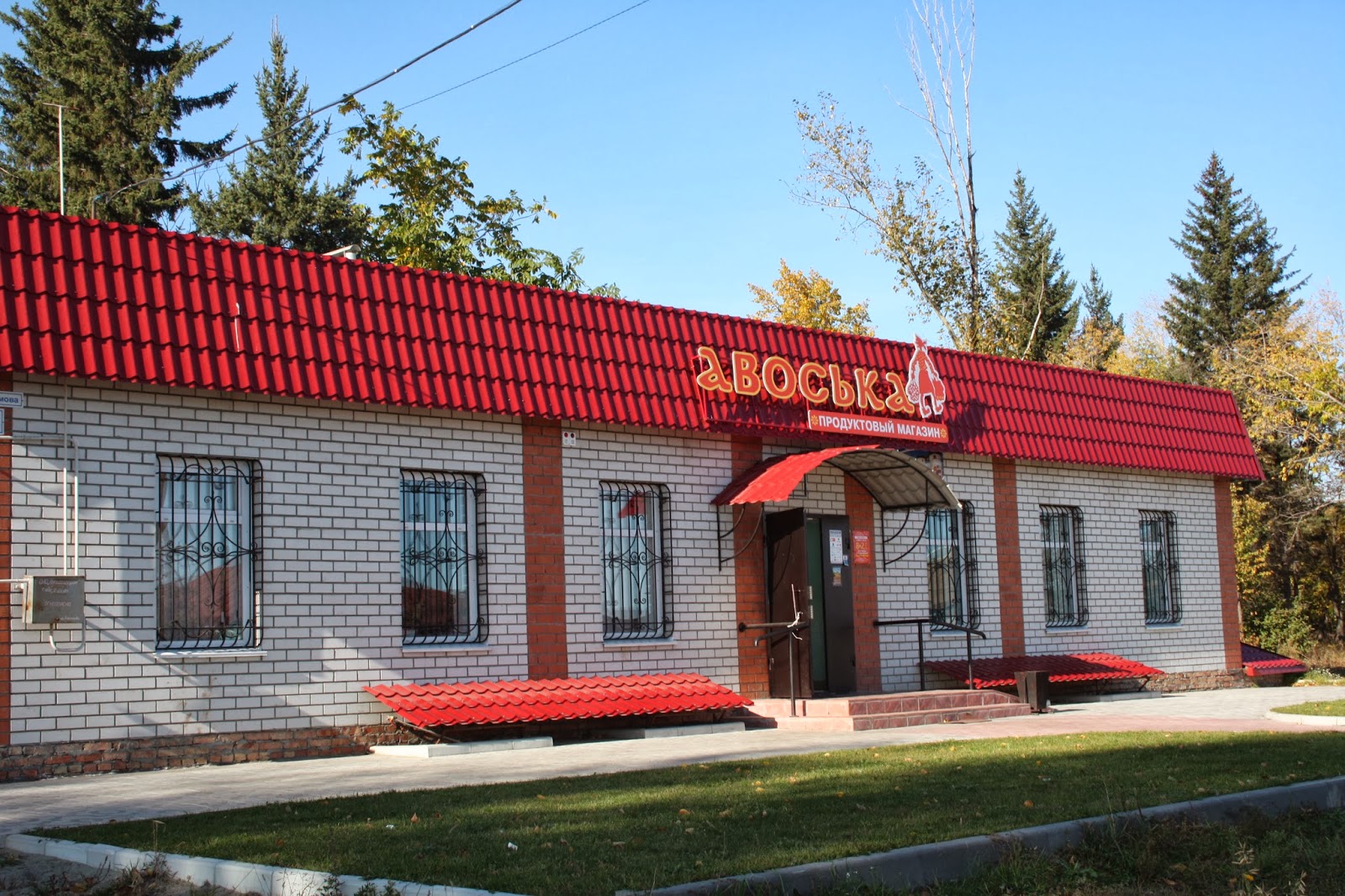 Санниково Алтайский край. Село Санниково. Торговый центр маленький в деревне