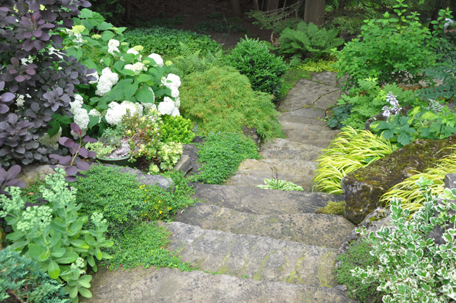 47 Volume 14 Number 2 Ip Australia