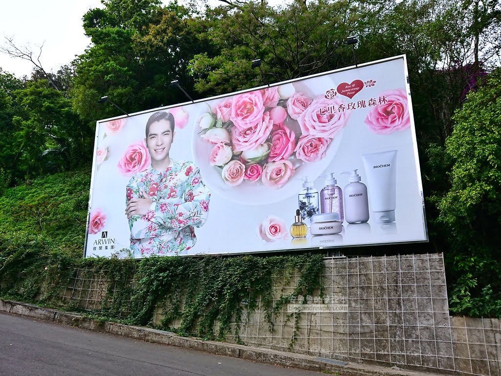 苗栗景點,雅聞七里香玫瑰森林,苗栗親子旅遊