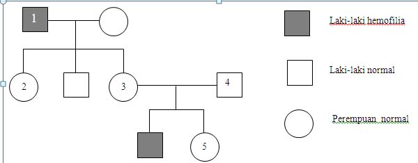 Contoh Soal Hemofilia