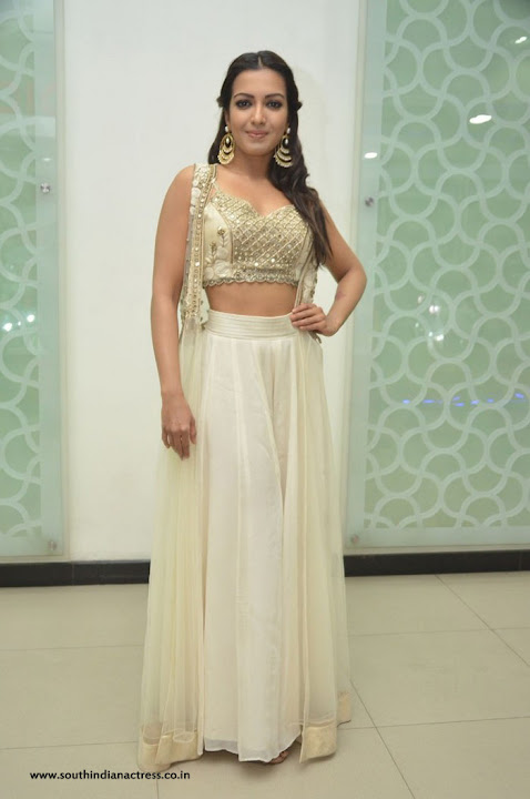 Catherine Tresa at Gautham Nanda success meet