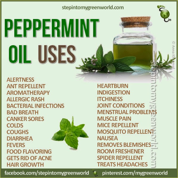 Health Nutrition Tips Pepermint Oil Uses