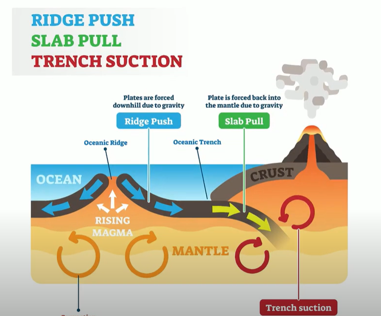How the Tectonic Plates Move MooMooMath and Science