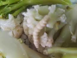 almuerzo%2Bescolar