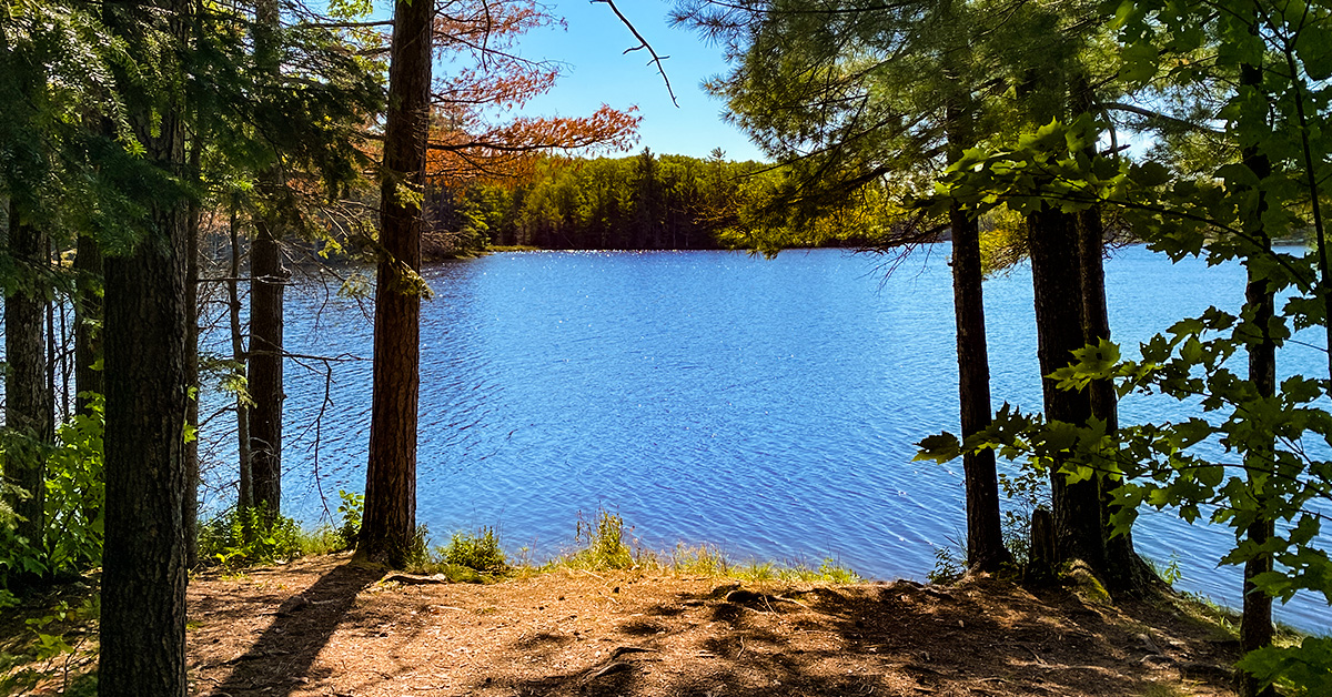 Hiking the North Country Trail Rainbow Lake Wilderness to Drummond Woods