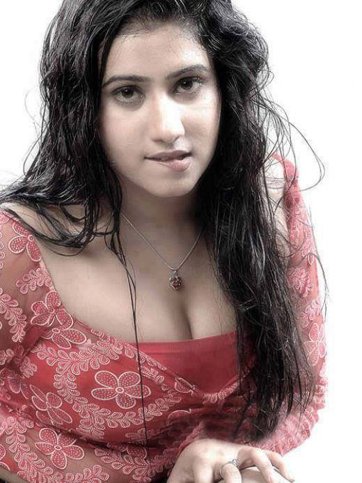 Hot Desi Girls Photos Gallery  South Indian Actresses Pics-5206