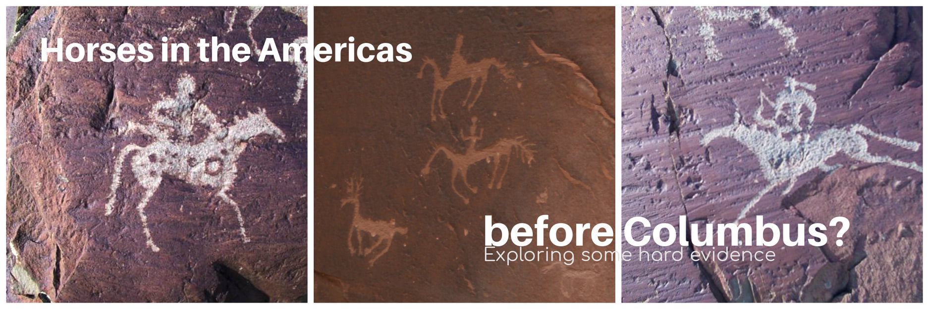 Alberto J. BenitoPerera HORSES IN THE AMERICAS BEFORE COLUMBUS?