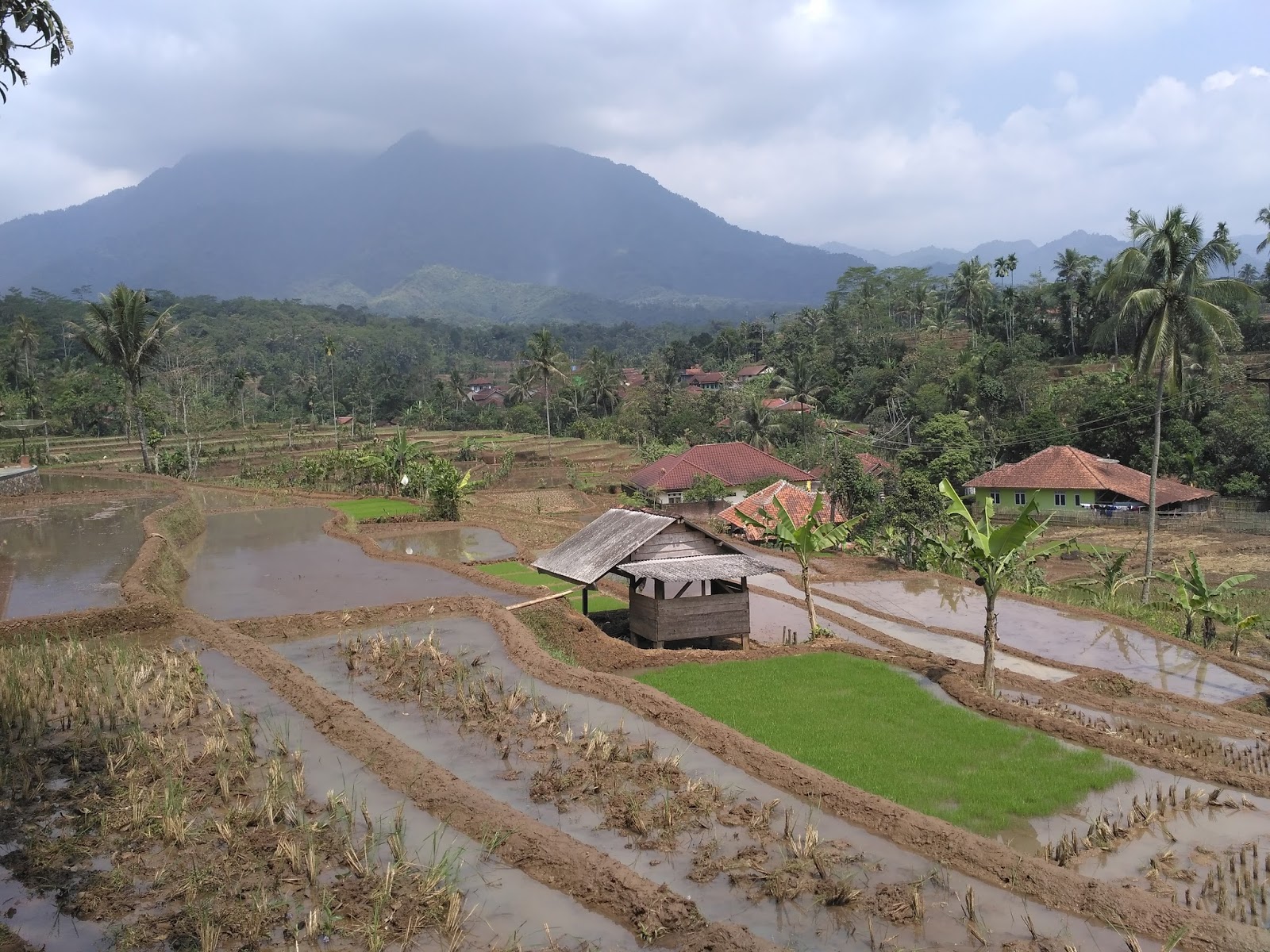WISATA GUNUNG CANGGAH ~ Wisata Desa Cimanggu