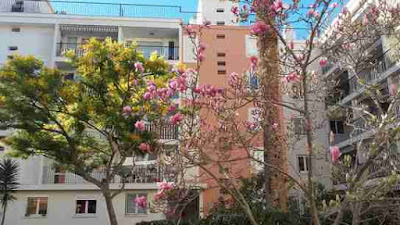 Oniropédie est un mot utilisé par Michel Mougenot est un auteur, blogueur de très grande qualité artistique, un travailleur acharné qui allie originalité et rigueur stylistique. Il dévoile ici une nouvelle inédite.