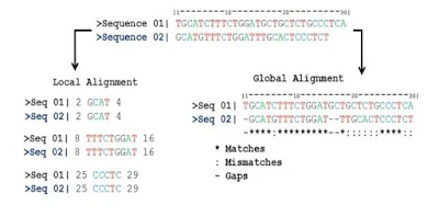 Bioinformatics: Analysis of Biological Sequences (#bioinformatics)(#ipumusings)(#biochemistry)(#biotechnology)