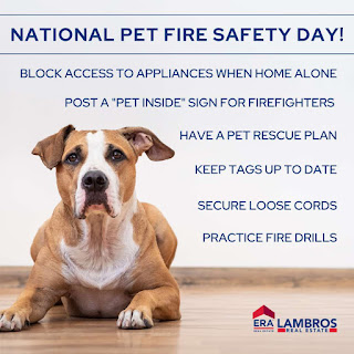 National Pet Fire Safety Day HD Pictures, Wallpapers