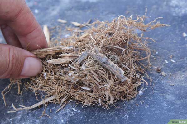 How to Light a Fire without Lighter or Matches How to Light a Fire without Lighter or Matches