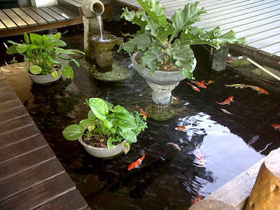 http://ruangrumahkita.blogspot.com/2013/09/menghadirkan-kolam-mungil-di-rumah.html