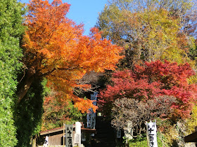 ���{���̍g�t