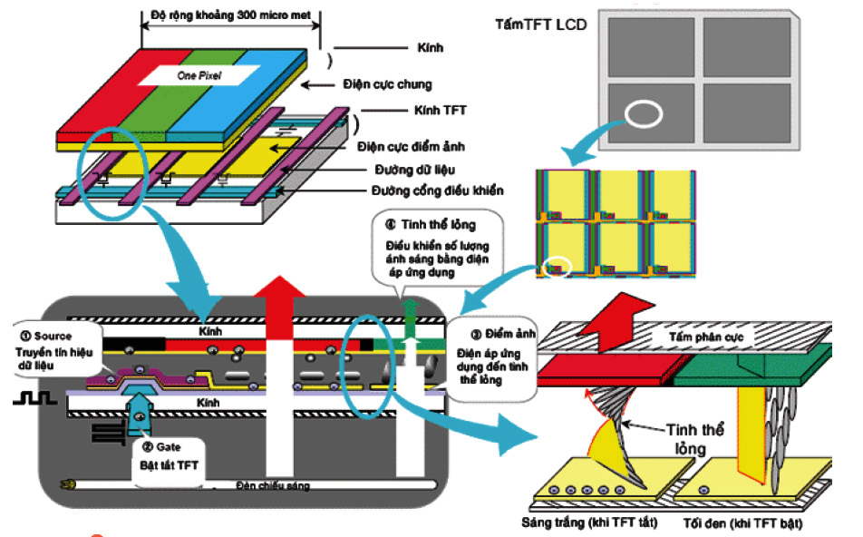 LCD Panel (Màn hình LCD) (Phần 1)