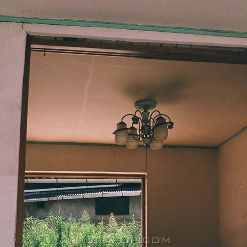 Leaves Black – 수다쟁이 – Single