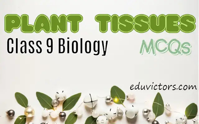 CBSE Papers, Questions, Answers, MCQ ...: CBSE Class 9 - Biology - Plant  Tissues (MCQs) (#eduvictors)(#class9biology)(#plantTissues)