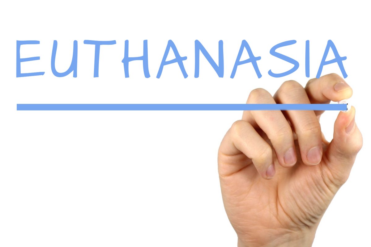 What is Euthanasia?