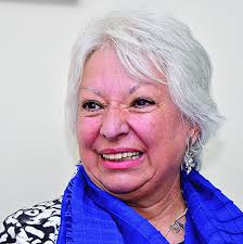 Resultado de imagen para sonia montaño virreira
