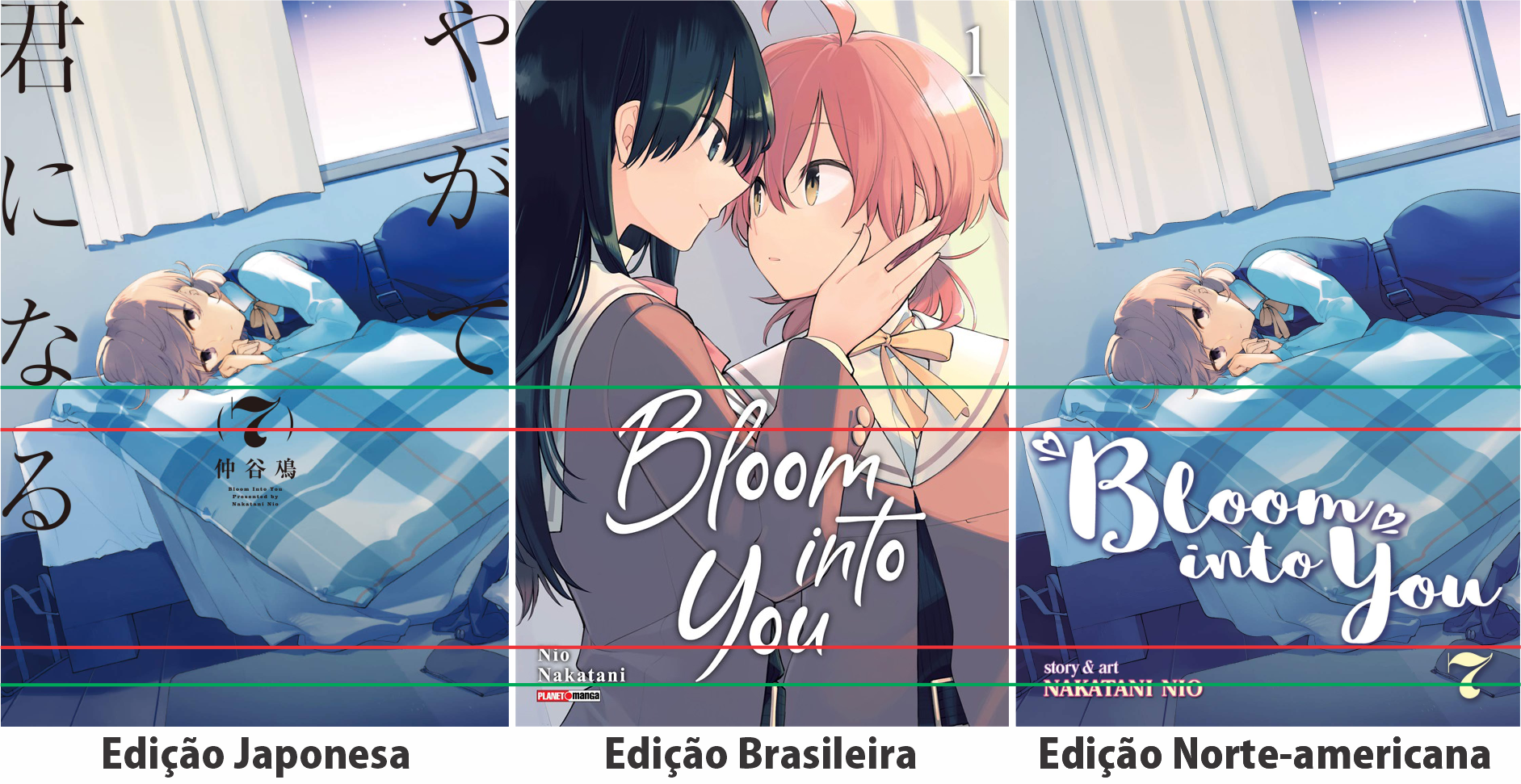 Amor acima de tudo: Bloom Into You ganha ilustração promocional, data de  estreia e adaptação para novel - Crunchyroll Notícias