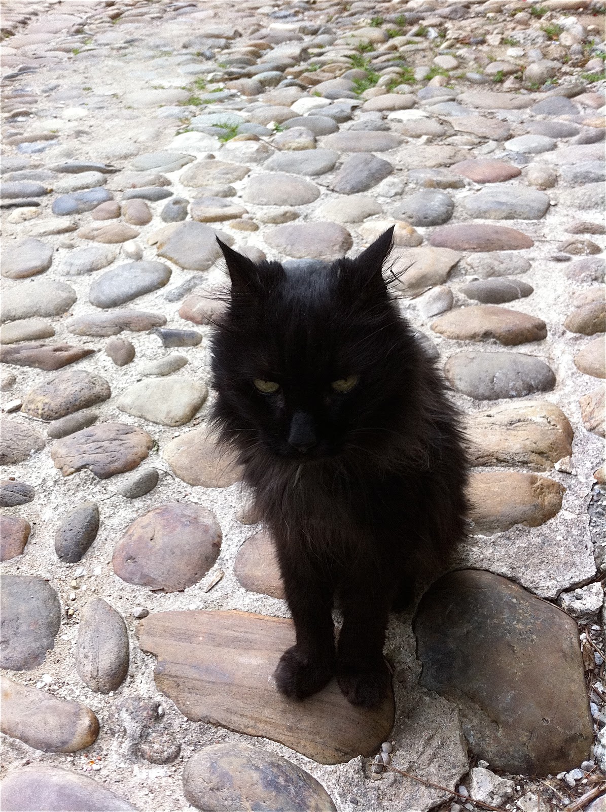 ManuneWs: La cité médiévale de Pérouges (01)