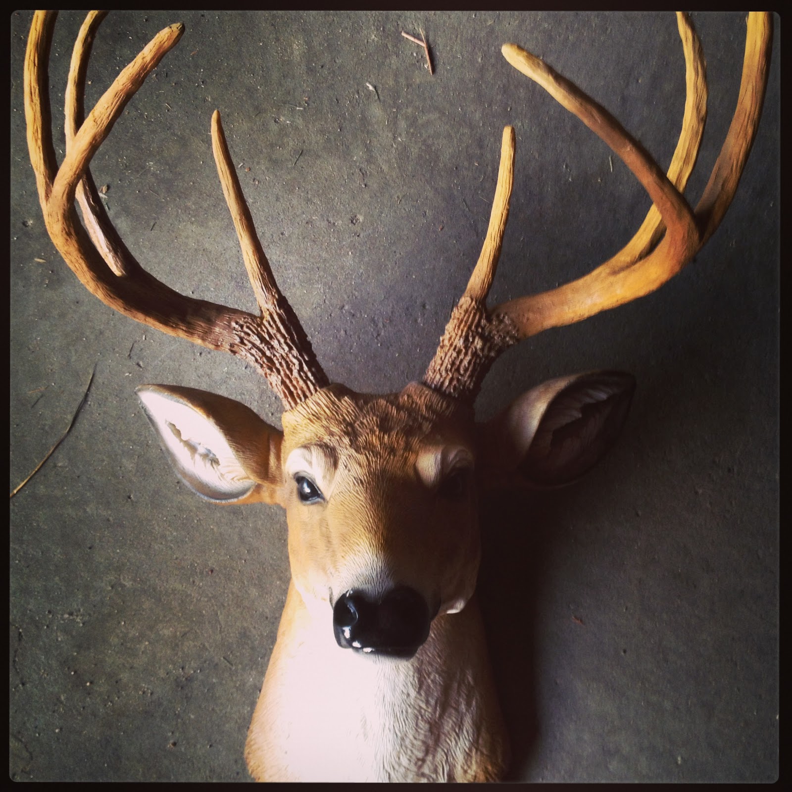 everyday glamour. diy faux deer head.