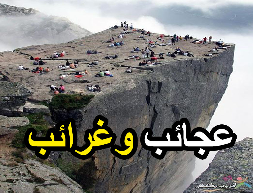 مايكروسوفت العرب عجائب وغرائب حول العالم ما لا تراه عينك من قبل