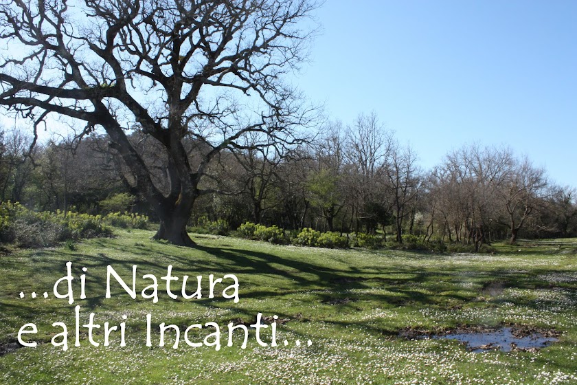 di Natura e altri Incanti