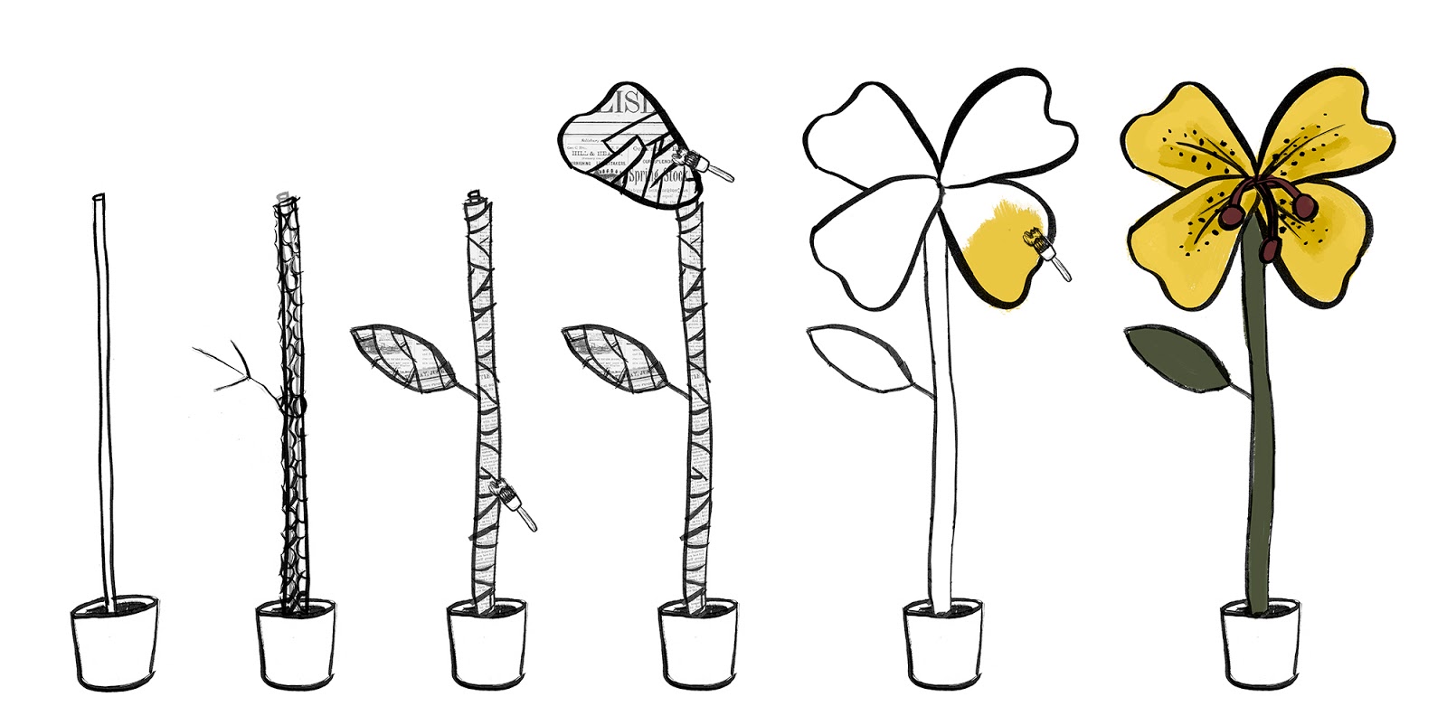 Tina's handicraft how to do PAPIER MACHE FLOWERS