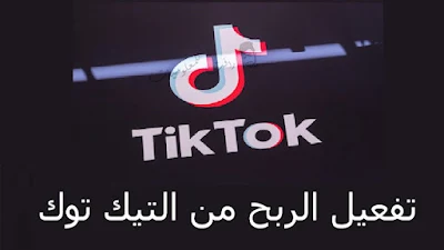 كيفية الربح من تيك توك TikTok طرق حقيقية للربح من التيك توك