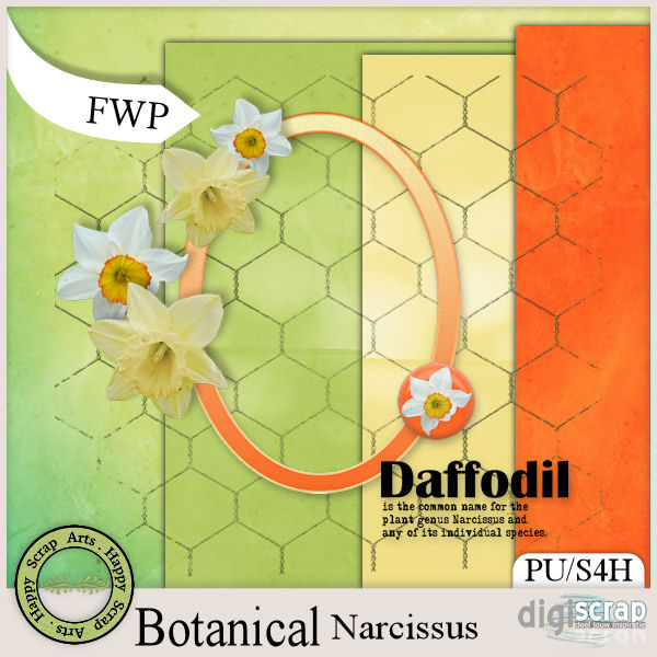HSA_Botanical_Narcissus_FWP_pv
