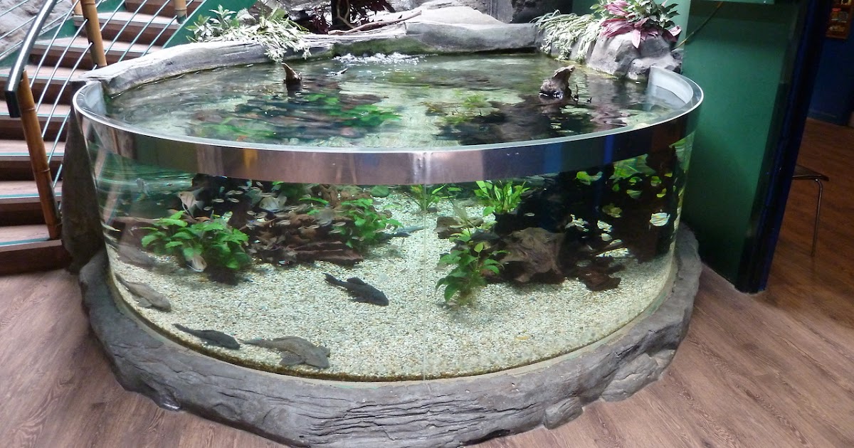 Barrys fishkeeping world Bournemouth Aquarium visit.