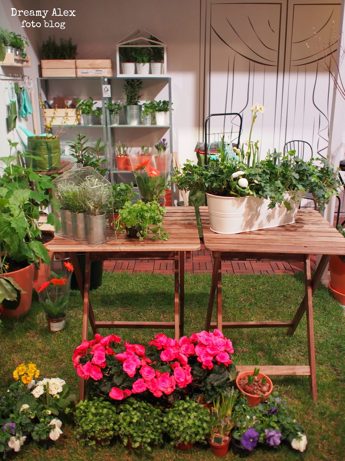 Balkon magiczny i praktyczny - warsztaty IKEA