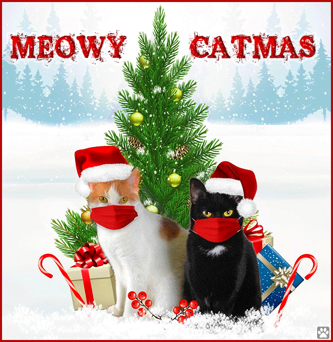 Art Cat GIF • 2 clever cats wearing Mask wish a 'MEOWY CATMAS' to their humans: “Stay save, we love you. Art Cat GIF • 2 clever cats wearing Mask wish a 'MEOWY CATMAS' to their humans: “Stay save, we love you.